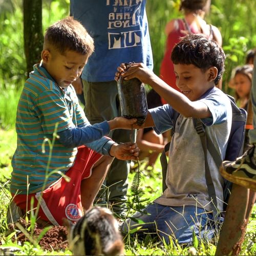 Sostenibilidad ambiental